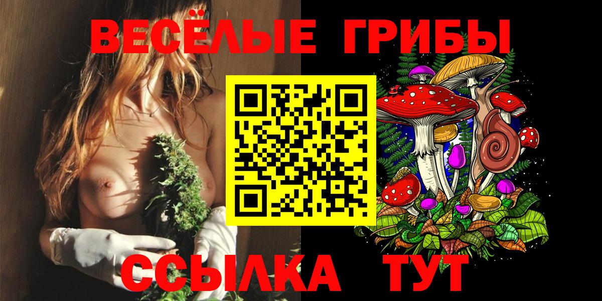 Тайшет  Галлюциногенные грибы мицелий  Вход с VPN  Псилоцибиновые грибы Magic Shrooms 