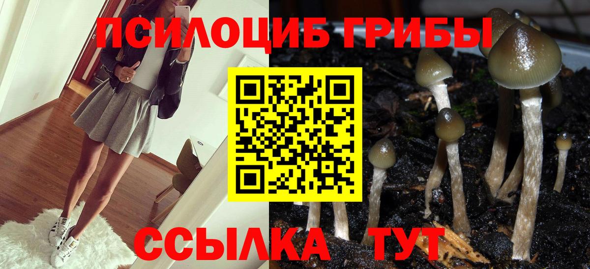 Галлюциногенные грибы Magic Shrooms Тайшет